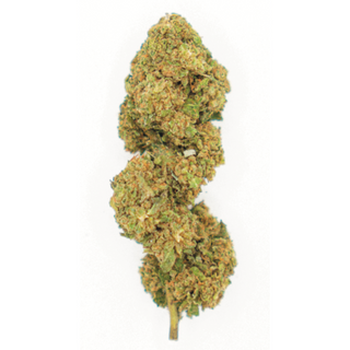 BubbaBob GlassHouse 3Gr