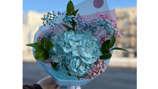 Hortensja z gipsówką