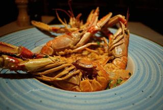 Risotto alla crema di scampi