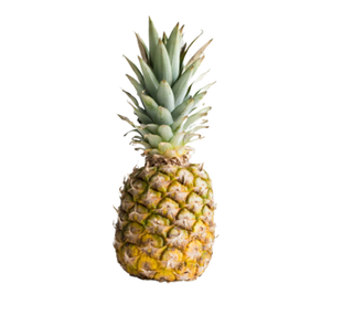 Piñas Premaduradas (Avioneta) Peso Estimado  2,5 KGr.