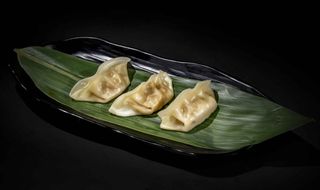 24.Gyozas De Verdura (6 Uds.)