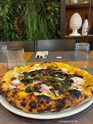 Zucca veg