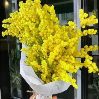 Festa della donna 