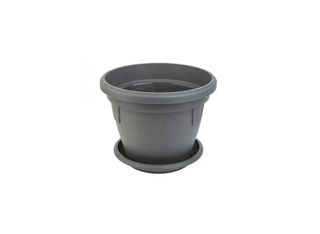 Саксия, сива, Ф12