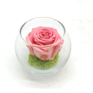Mini Reflet Pink R