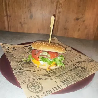 Chicken littlebit