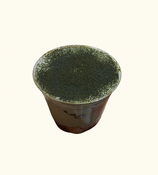 Matcha Tiramisu