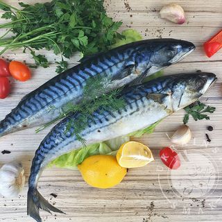 Makrela mrożony 1kg