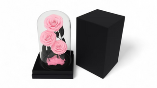 Tri dehidrirane ruže u staklenom zvonu