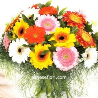 consegna Bouquet 25 gerbere assortite 
