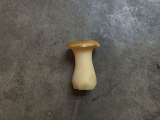 Свічка Гриб L