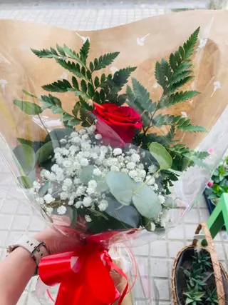 Rosa Roja Unidad