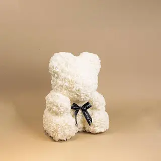 Urso Pequeno