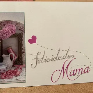 Tarjeta mamá. Modelo 6