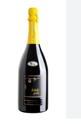 Ribola Gialla  Collavini