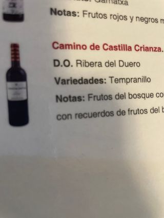 Camino de Castilla 