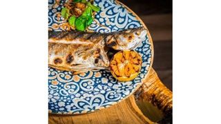 Biban de mare la gratar