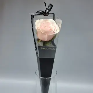 Trandafir roz pal elegance