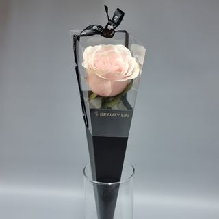 Trandafir roz pal elegance