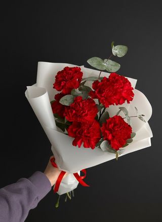 Bukiet: czerwone goździki i eukaliptus