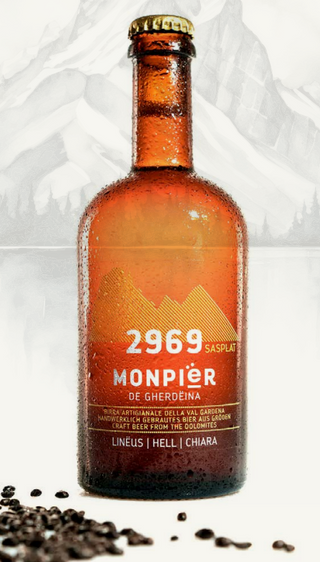 Sasplat 2969 golden ale