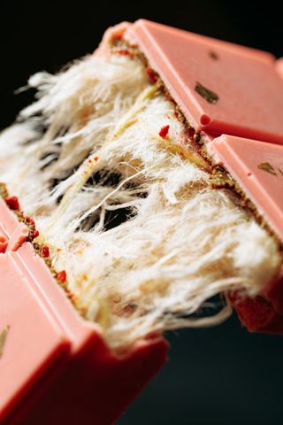 Волосся янгола