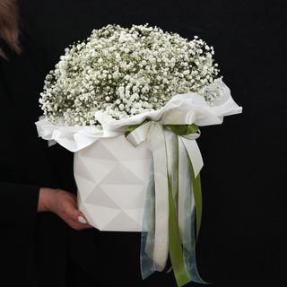 Квіткова композиція в коробці  з білої гіпсофіли