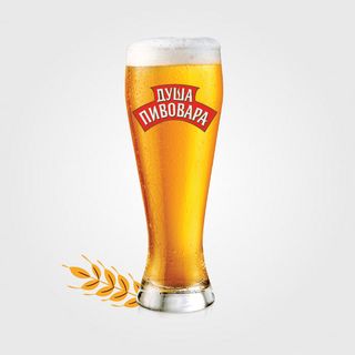 Пиво Душа Пивовара (0,5л)