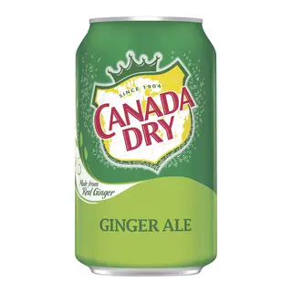 Canada Dry Ginger Ale 355 Ml