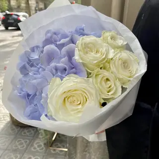 Blue Breeze