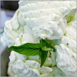 Sorbete de Mojito VEGANO