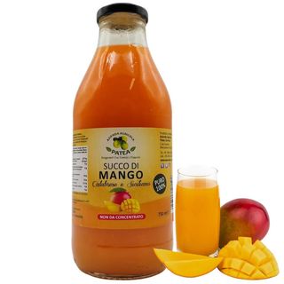 Succo di mango 1 l