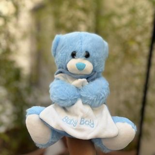 Peluche Teddy boy