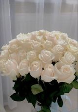 თეთრი ვარდები