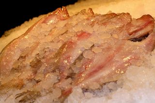 Gallo Filete > 1K > 1K