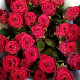 14 rose extra bouquet