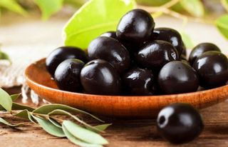 ზეთის ხილი