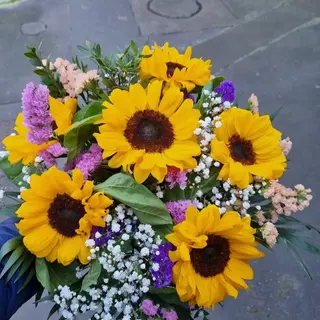 Girasole con Fiori Primavera