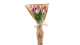 Buket od 21 lale u natron papiru