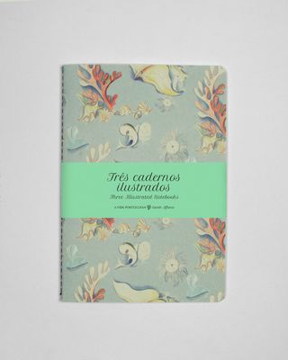 Conjunto de 3 Cadernos