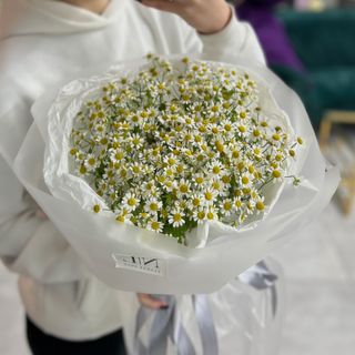 Польова ніжність 