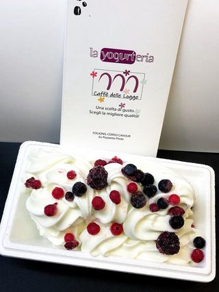 Frozen yogurt magro vaschetta 1 kg