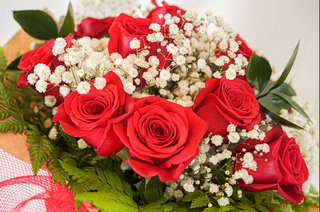 Ramo de 12 Rosas
