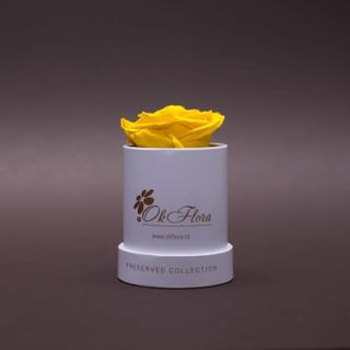 Trandafir criogenat galben în mIni-cutie alba