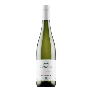 Գինի San Valentin սպիտակ   Torres . 0,75լ, , հատ