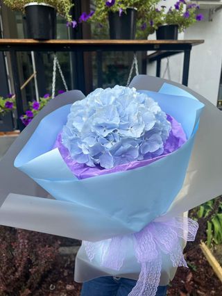 Букет-комплімент з гортензією