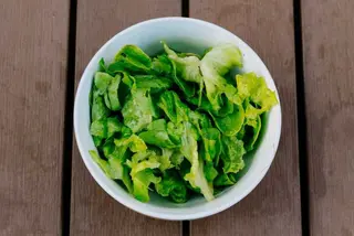 Zelena salata