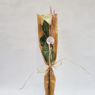 Rosa Blanca Kraf