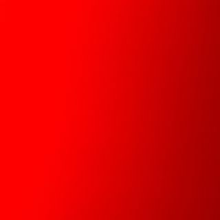 Ración De Calamares