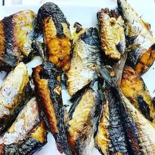 Fish